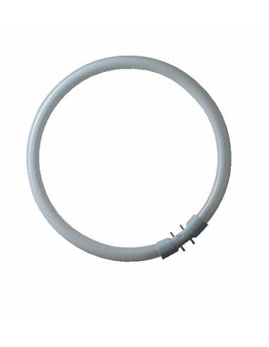 Tube fluorescent circulaire 2GX13                                                                                                                                                                        ELECTRICITE ECLAIRAGE SOURCES LEDVANCE SASU