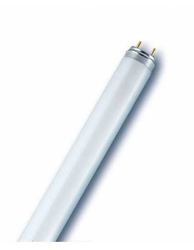 Tube fluorescent T8                                                                                                                                                                                      ELECTRICITE ECLAIRAGE SOURCES LEDVANCE SASU